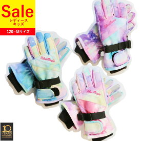 グローブ 手袋 レディース(インナー一体型) スノボ スノー スノーボード スキー てぶくろ（女性向け）手ぶくろ 耐水圧10,000mm/ 同時購入割引
