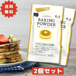 yԗDǃVbvzƌ L@x[LOpE_[ I[KjbN 40g× 2Zbg A~t[ A~jEsgp  v80g L@  P[L َq pP[L zbgP[