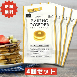 yԗDǃVbvzƌ L@x[LOpE_[ I[KjbN 40g× 4Zbg A~t[ A~jEsgp  v160g L@  P[L َq pP[L zbgP[