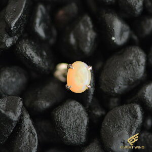 �y LA KEY �z�y���K�㗝�X�zSV Eagle Claw Earring With Opal Medium Size / ��܃I�p�[���s�A�X(M)�y�V�i�z