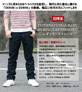 EDWIN(GhEB) C^[iVix[VbN@403 ӂ̃Xg[g ҏ[߁@{ fj W[Y