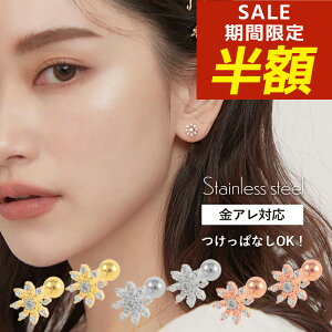 yԌIzIzςȂ sAX ςȂsAX T[WJXeX AM[ Vo[ ˂ Vo[ S[h sNS[h t[  Ԃт 18k 킢 