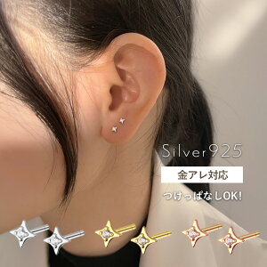 yJn4ԌIzN[|zzzsAX Vv  ߃sAX Ԃ ɏ ~j  X^[ sAX ςȂ  silver925 Vo[925 18k R[eBO A