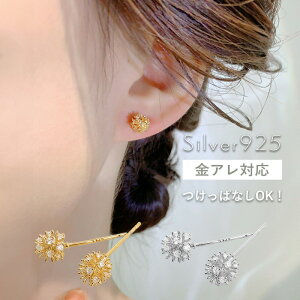yzsAX ^|| Ȗ Vv pFsAX pF  ߃sAX ςȂsAX ~j sAX ςȂ Ԃ  silver925 Vo[925 R[eBO 