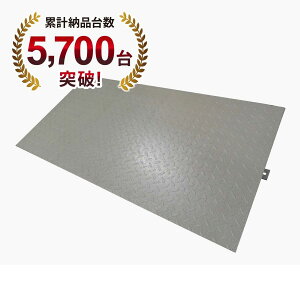 tAXP[KDpX[vi800mmj