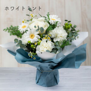 y̓ ԑz2026/05 IJ[l[Vỏԑ G߂̉ԃMtg  bZ[WJ[h ܕt 摜zMT[rXt cs꒼ NIeB  v[g