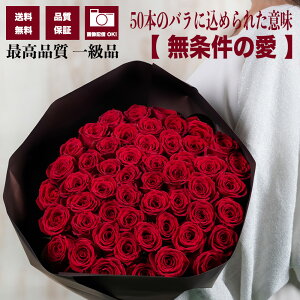 yԃo50{ ԑz̈𑡂 v|[Y LO a i փo  iۏ  bZ[WJ[ht 摜zM j  ސEj TvCY Mtg v