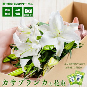 yJTuJzԑ 15ֈȏ cs꒼ NIeB oC[I  摜zMT[rXt a LO j