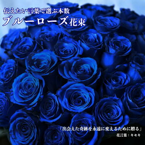 y u[[Y zỏԑ 10`108{Iׂ{߂ꂽӖ   փo  VN  v|[Y  a LO Mtg 