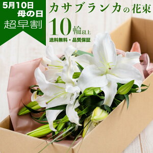 y̓ Ԍ葁z2026/05 JTuJ ԑ 2{10 ȏ   cs꒼ VN   bZ[WJ[ht ̓Mtg 