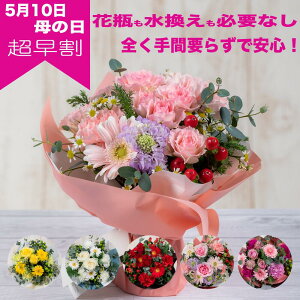 y̓ ԑz2026/05 IJ[l[Vỏԑ G߂̉ԃMtg  bZ[WJ[h ܕt 摜zMT[rXt cs꒼ NIeB  v[g