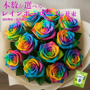 yC{[[Y 12{E24{E50{ȂǁzFɋPC{[̉ԑ F̃o v|[Y@v[g a LO v|[Y lC  TvCY   摜zM 