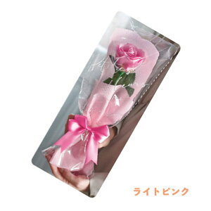 SALEIy\[vt[z tFft[ ԑ u[P ͂Ȃ t[Mtg a Ǝ  wj v[g LOi 搶 y FB k v`Mtg  