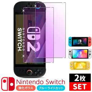 【2枚セット】強化ガラス ブルーライトカット ニンテンドースイッチ 任天堂 ガラスフィルム フィルム 9H硬度 液晶保護 2.5D 超薄型 日本製硝子採用 ラウンドエッジ加工 2枚セット