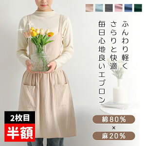 y2ڔzN[|szGv  s[X Vv Rbg100%  | ۈm T [NGv fB[X p |Pbg  B JtF  