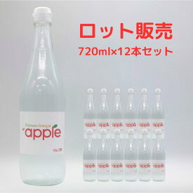 【ロット販売12本】プロトンビネガーMTアップル りんご酢 りんご 竈方の塩 720ml
