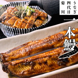 うなぎ四代目菊川 一本うなぎ 国産 2尾 4尾 肉厚 大ぶり 地焼き 秘伝のタレ付き 冷凍 高級 鰻 贈答品 ギフト 土用の丑の日 通販 お取り寄せ 人気 名産 誕生日 プレゼント メーカー直送品