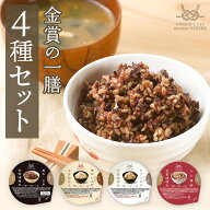 ＼ 5%OFF&ポイント2倍！／【金賞の一膳 4種アソートセット】 金賞健康米 ご飯パック 4種 黒米 玄米 もち…