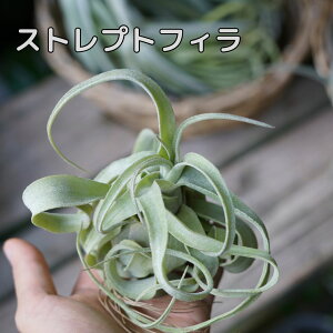 `WA CIi^ XgvgtB MTCY GAvc GA[vc