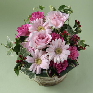 yC[OXӍP5{z  Mtg a tA[gԖ JWAAW LTCYi4FIׂ܂Ij y  t[AWg AWgt[  t