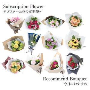 yTuXNz Ԃ̒ Еz  {ȂԂ͂  Mtg tA }X[Rhỉԁj u[P XyVe ԑ yV1   j