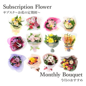 yTuXNz Ԃ̒ Еz  {ȂԂ͂ Ԗ ̉ ԑ u[P ̎ɂ   Mtg LO v[g j 