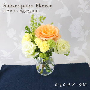 yTuXNz ܂u[PM Ԃ̒ Еz   {ȂԂ͂  Mtg tA u[P ԑ yV1  