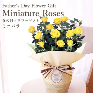 鉢植え 生花の人気商品 通販 価格比較 価格 Com