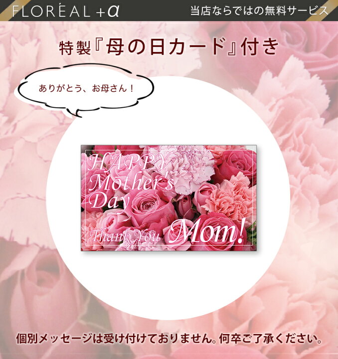 楽天市場 遅れてごめんね 母の日 送料無料 楽天1位 カーネ スイーツ セット 6色から選べる カーネーション 鉢 赤 ピンクa オレンジ アプリコット パープル ピンクb 母の日ギフト プレゼント 花 フラワー ギフト 鉢植え 花鉢 お菓子 和菓子 他 フロレアルonlineshop