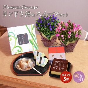 鉢植え 生花の人気商品 通販 価格比較 価格 Com 鉢植え 生花の人気商品 通販 価格比較 価格 Com