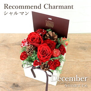   12 o Mtg a t[{bNX tA }X[Rh V} {bNXt[ t[Mtg yV1 y   t[AWg