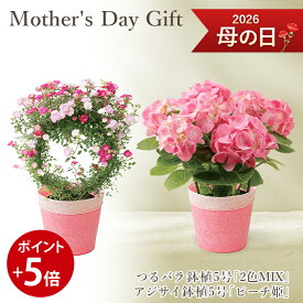 【現在19％OFF】 【ポイント5倍】【遅れてごめんね】 母の日ギフト 送料無料 フラアート花門 鉢植え つるバラ 「2色MIX」 アジサイ 花鉢 「ピーチ姫」 楽天1位 母の日 プレゼント 花 フラワー ギフト ポイント フラワーギフト カーネーション以外 その他 鉢