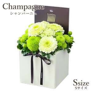  Mtg  t[{bNX tA V}S 6FI {bNXt[    yV1 y  a o v[g t[AWg A