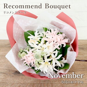 ̉ 11 ll  Mtg a tA }X[Rh u[P XyVe pX^C ԑ yV1 y   t[ v[g j \ 