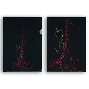 X[p[SALE|Cg5{: OHpV Hideyuki Niwa t[A[gNAt@Cuv3Zbg t[A[eBXg fUC     WpJbvD ۑD