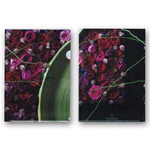 X[p[SALE|Cg5{: OHpV Hideyuki Niwa t[A[gNAt@CuȂ́v3Zbg t[A[eBXg fUC     WpJbvD ۑ