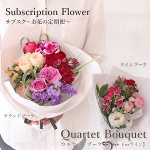 y}\|Cg5{z yTuXNz Ԃ̒ Еz  {ȂԂ͂  Mtg  tA QuartetEBouquet JebgEu[P ԑ i4FEG߂̉ԍނ܂jM