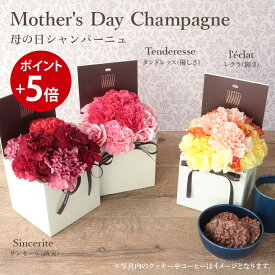 【ポイント5倍】 母の日 送料無料 楽天1位 フロレアル Mother'sDay シャンパーニュ 母の日ギフト フラワーボックス 赤 ピンク オレンジイエロー から選択 プレゼント 花 フラワー ギフト カーネーション アレンジメント