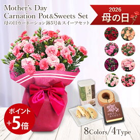 【ポイント5倍】母の日 送料無料 楽天1位 カーネ スイーツ セット 8色から選べる カーネーション 鉢 赤 ピンク オレンジ アプリコット パープル 複色 他全8種 母の日ギフト プレゼント 花 フラワー ギフト 鉢植え 花鉢 鉢 お菓子 和菓子 カステラ あんみつ 他