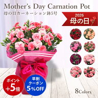 【ポイント5倍+早割5%OFFクーポン】送料無料 楽天1位 8色から選べる カーネーション 鉢 赤 ピンク オレン…
