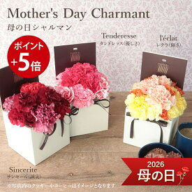 【ポイント5倍】 母の日 送料無料 楽天1位 フロレアル Mother's Day シャルマン 母の日ギフト フラワーボックス 赤 ピンク オレンジイエロー から選択 プレゼント 花 フラワー ギフト カーネーション アレンジメント 10％OFF