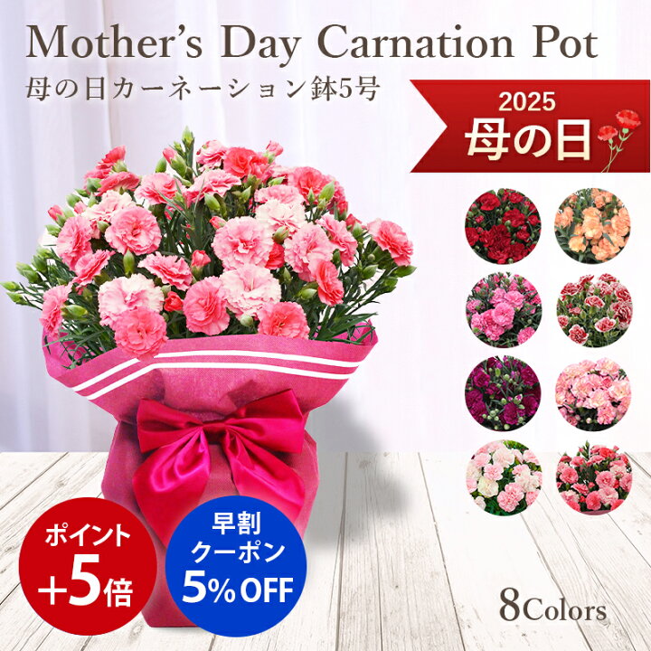 楽天市場】【4/27まで 早割 5％クーポン】【ポイント5倍】 早期特典  