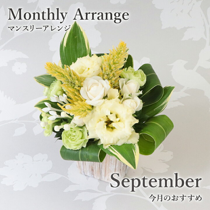 楽天市場 マラソン中ポイント5倍 銀座花門 9月 ケイトウ この時期におすすめ 花 お花 ギフト 誕生日 記念日 結婚記念日 アレンジメント プレゼント フラワーアレンジメント アレンジメントフラワー あす楽 お祝い 開店祝い 結婚祝い お見舞い 女性 メッセージカード