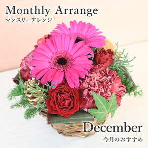 Ԗ 12 K[x ̎ɂ   Mtg a LO LO AWg v[g t[AWg AWgt[ y j JXj 