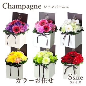  Mtg  t[{bNX tA V}S 6FI {bNXt[    yV1 y  a o v[g t[AWg A