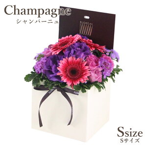  Mtg  t[{bNX tA V}S 6FI {bNXt[    yV1 y  a o v[g t[AWg A