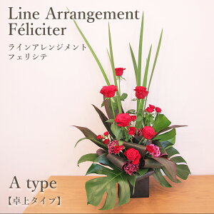 X[p[SALE|Cg5{:  Mtg JXj tA tFVeiCAWjA^Cv s^Cvt(6FIj yV1 y  a  o v[g t