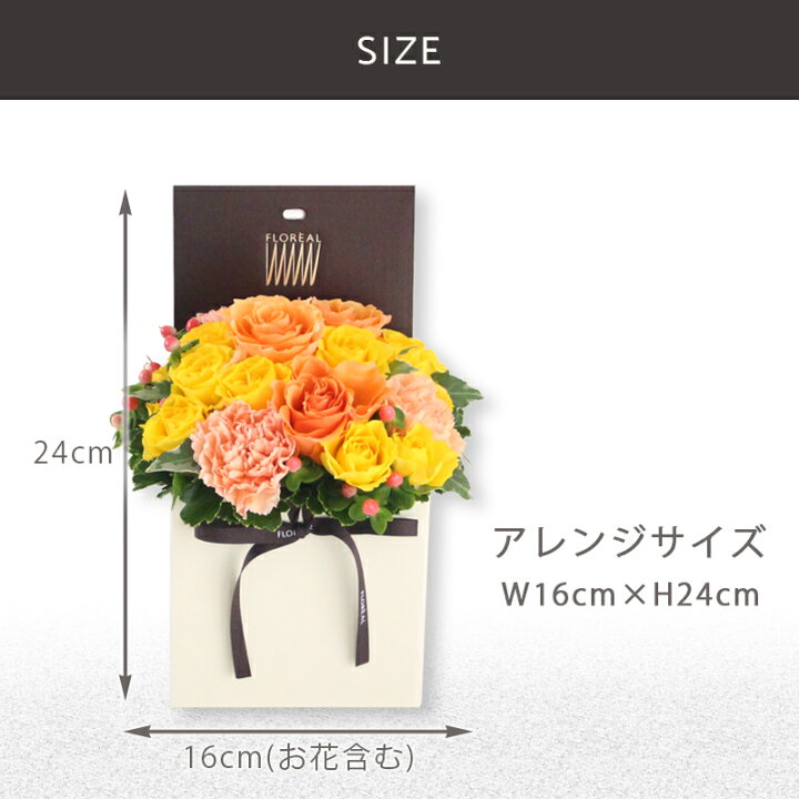 楽天市場 花 ギフト 誕生日 フラワーボックス フロレアル シャンパーニュm 6色選択 ボックスフラワー 長持ち 生花 お花 楽天1位 あす楽 送料無料 バラ プレゼント フラワーアレンジメント アレンジメントフラワー フラワーギフト お祝い 開店祝い お見舞い フロレアル 楽天市場 花 ギフト 誕生日 フラワーボックス フロレアル シャンパーニュm 6色選択 ボックスフラワー 長持ち 生花 お花 楽天1位 あす楽 送料無料 バラ プレゼント フラワーアレンジメント アレンジメントフラワー フラワーギフト お祝い 開店祝い お見舞い フロレアル