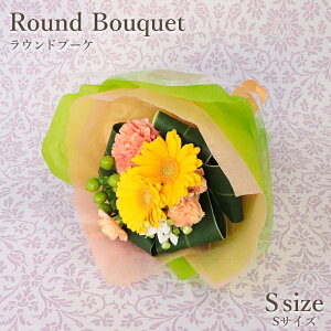  Mtg a Ԗ Ehu[P STCYi4FIׂ܂Ij sjEj12܂ zB tt y ԉ ԑ u[P o  t[ v[g t