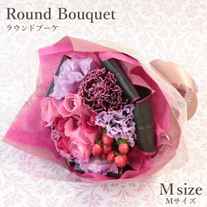  Mtg a Ԗ Ehu[P MTCYi4FIׂ܂Ij sjEj12܂ zB tt y  ԑ u[P o  t[ v[g 